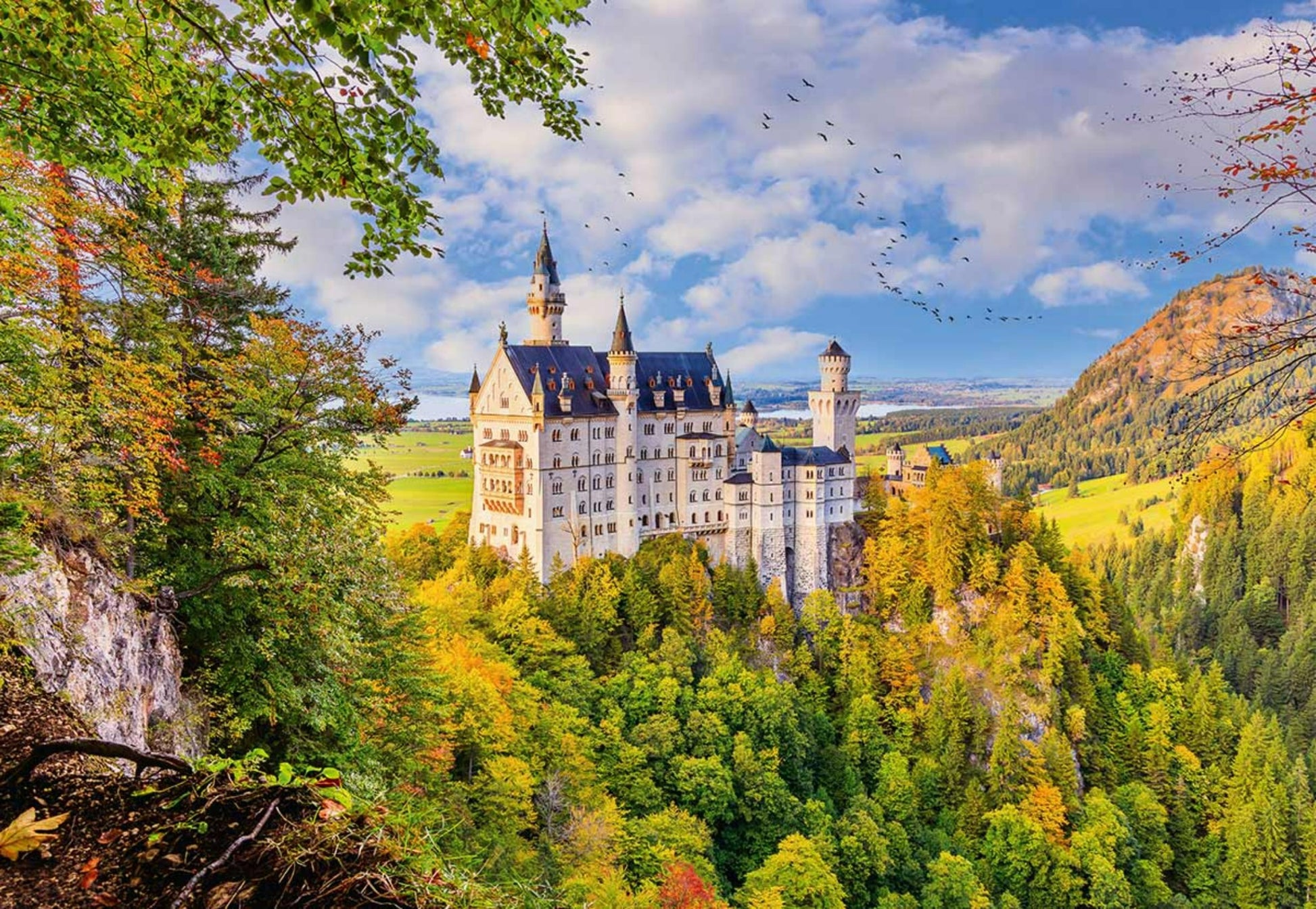 Puzzle 1000 pieces - Neuschwanstein Castle, Germany