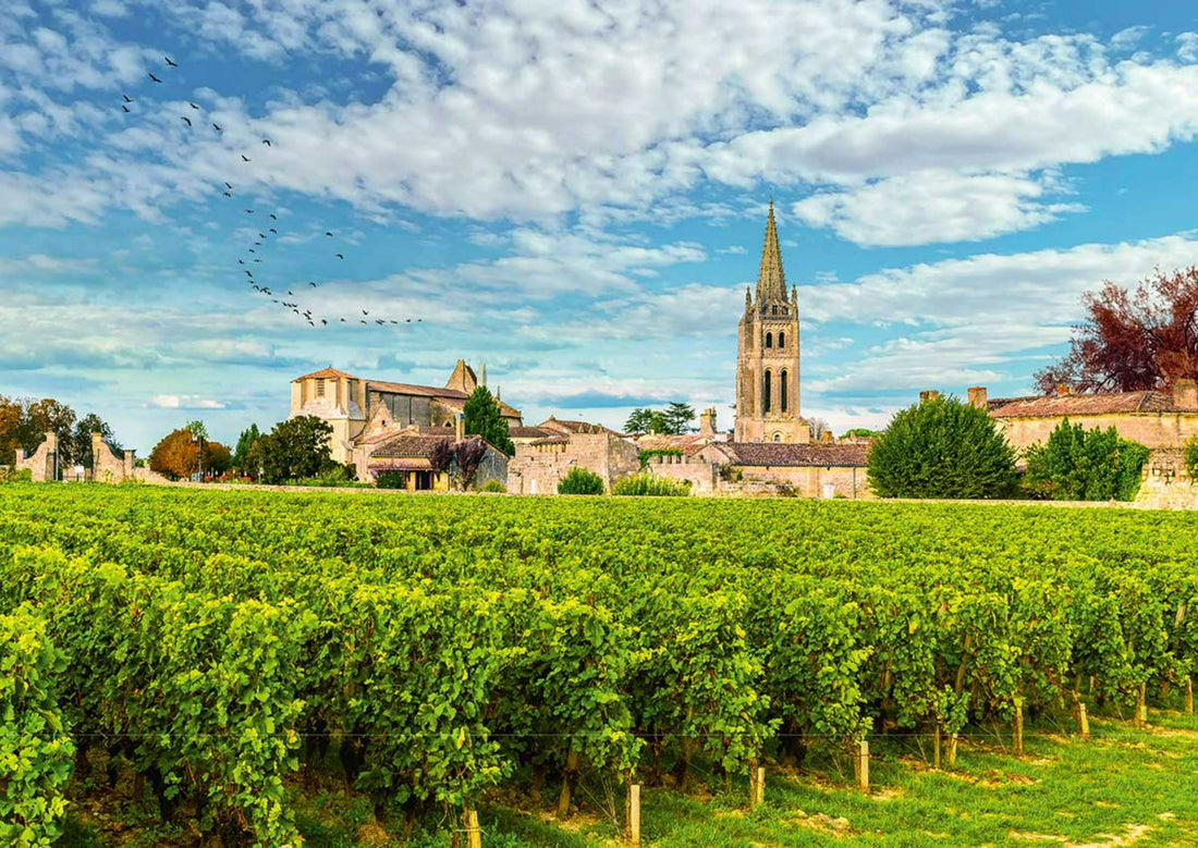 Puzzle 500 pieces - Bordeaux Vineyards, France