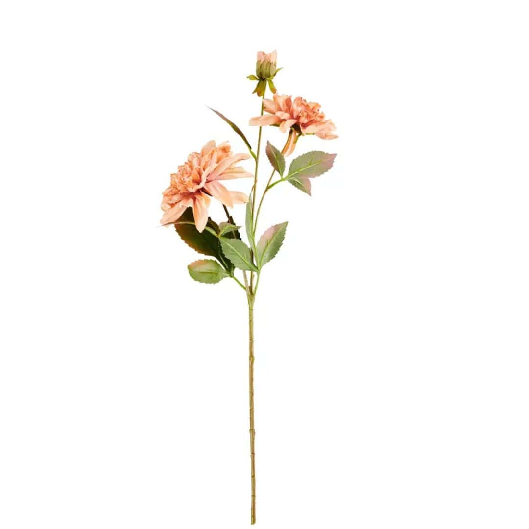 Casa DAHLIA Peach pink flowering branch, L 70 cm