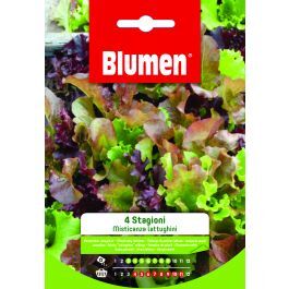 SEED GARDEN T EV MISTICANZA LETTUCES 4 S