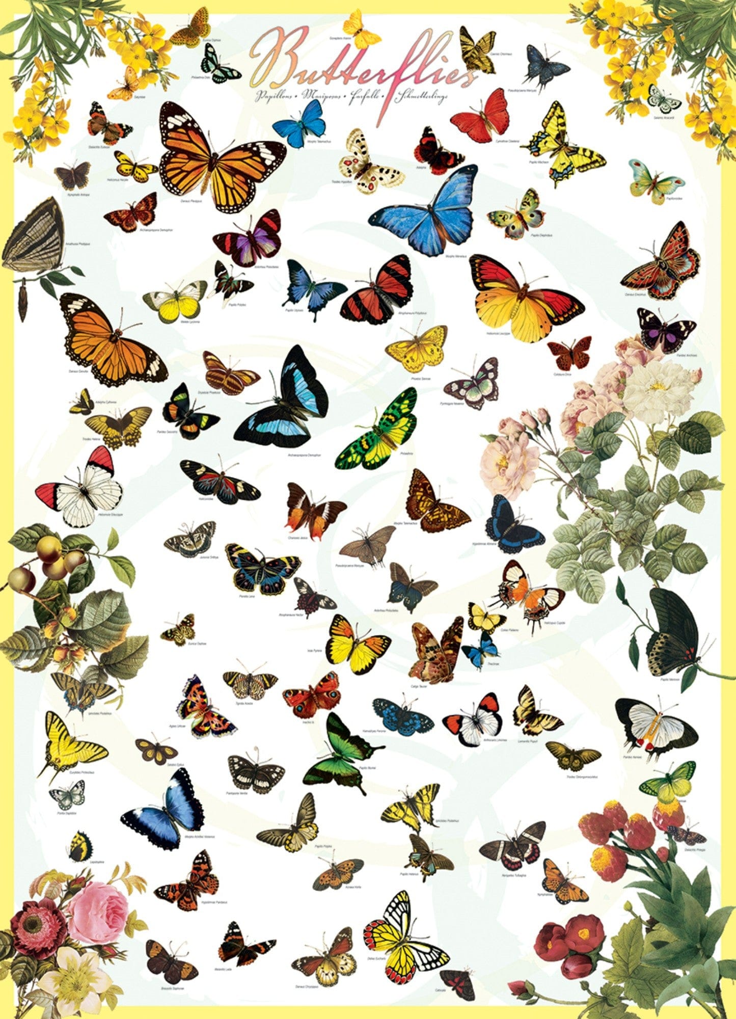 Toys 1000 Piece Puzzle - Butterflies