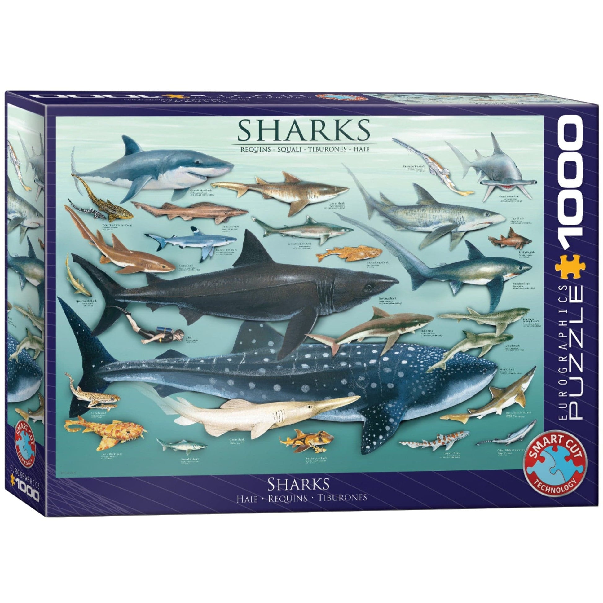 Toys 1000 Piece Puzzle - Sharks