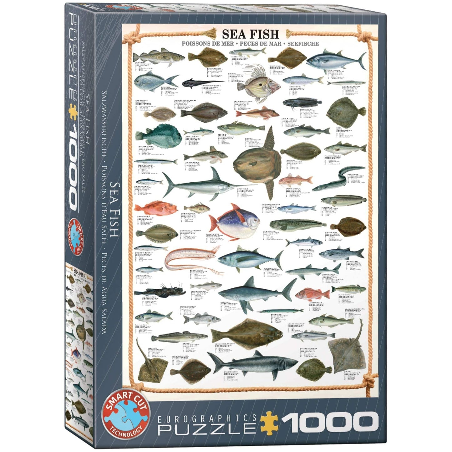 Toys 1000 Piece Puzzle - Sea Fish