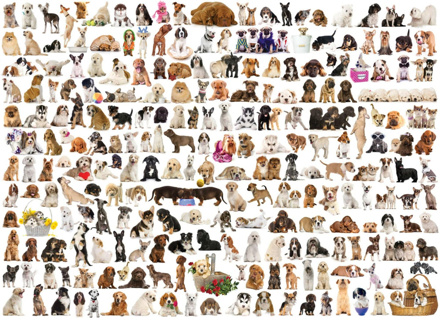 Toys Puzzle da 1000 Pezzi - The World of Dogs