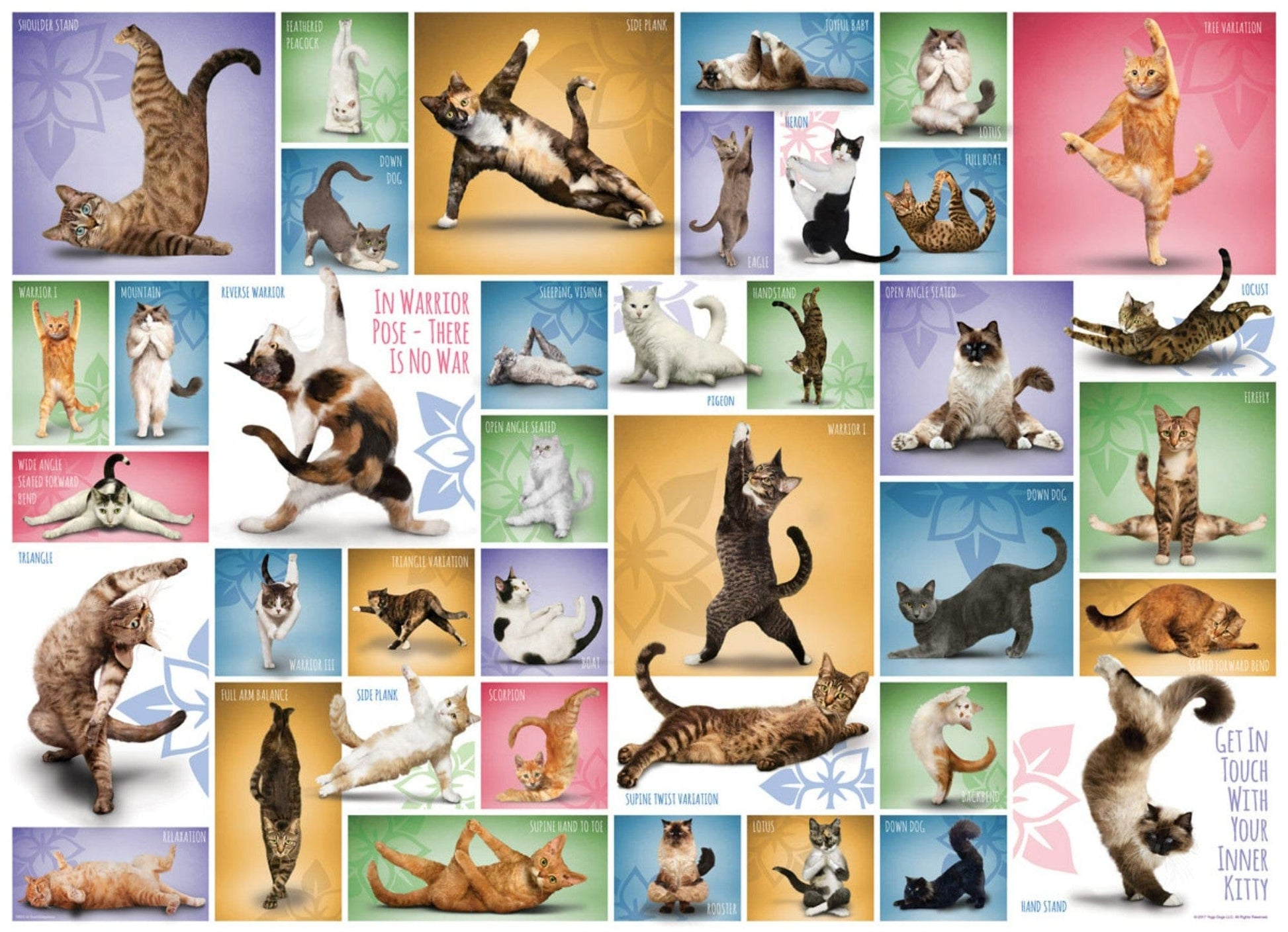 Toys 1000 Piece Puzzle - Yoga Cats