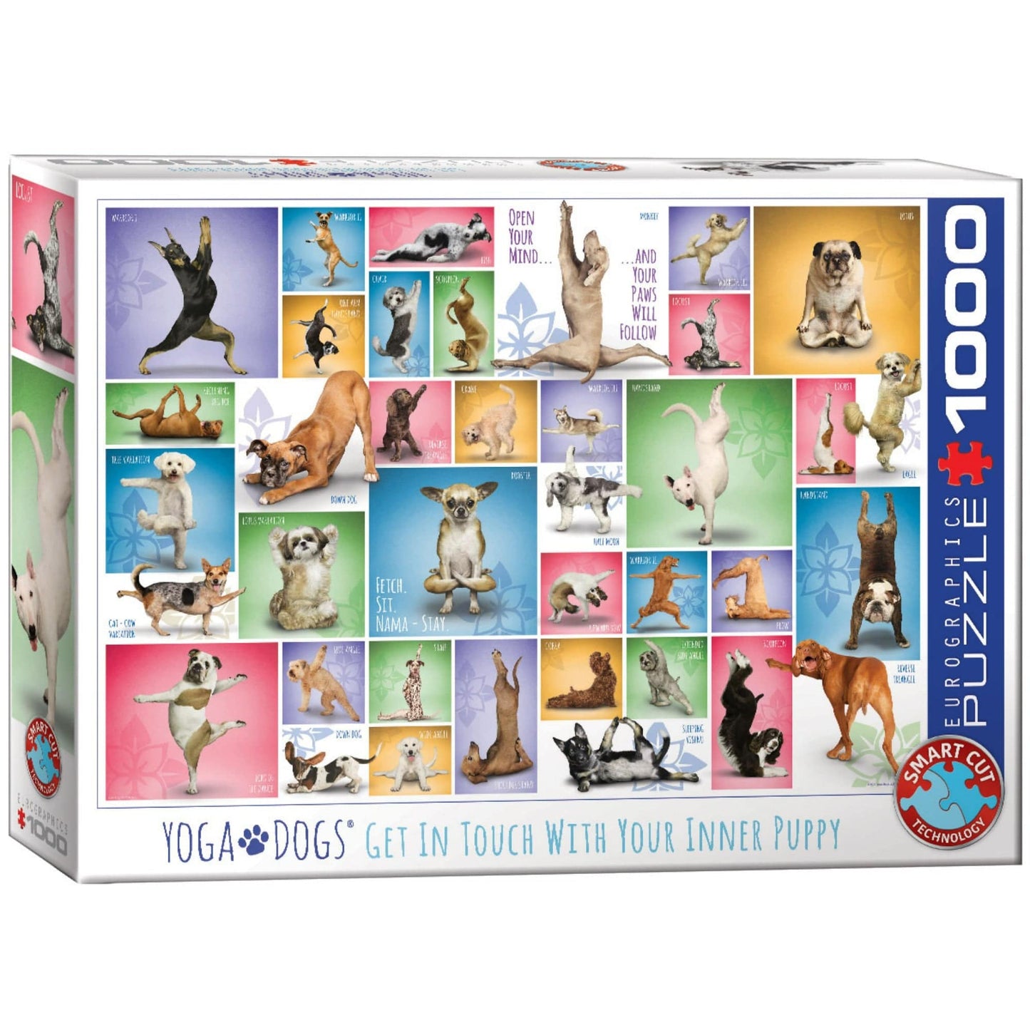 Toys 1000 Piece Puzzle - Yoga Dogs