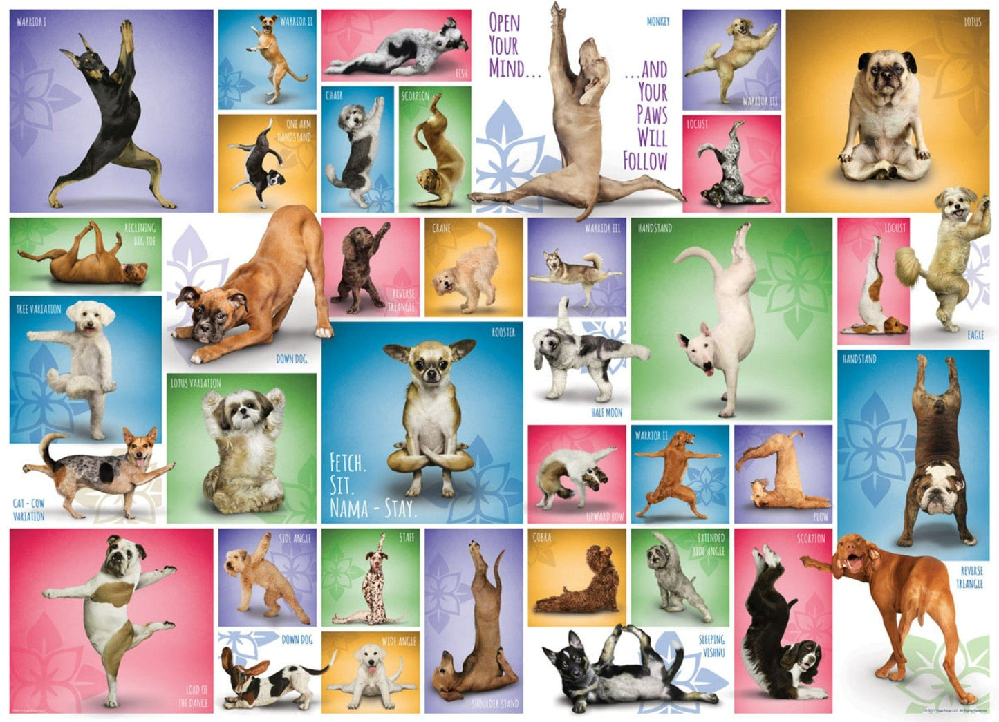 Toys 1000 Piece Puzzle - Yoga Dogs