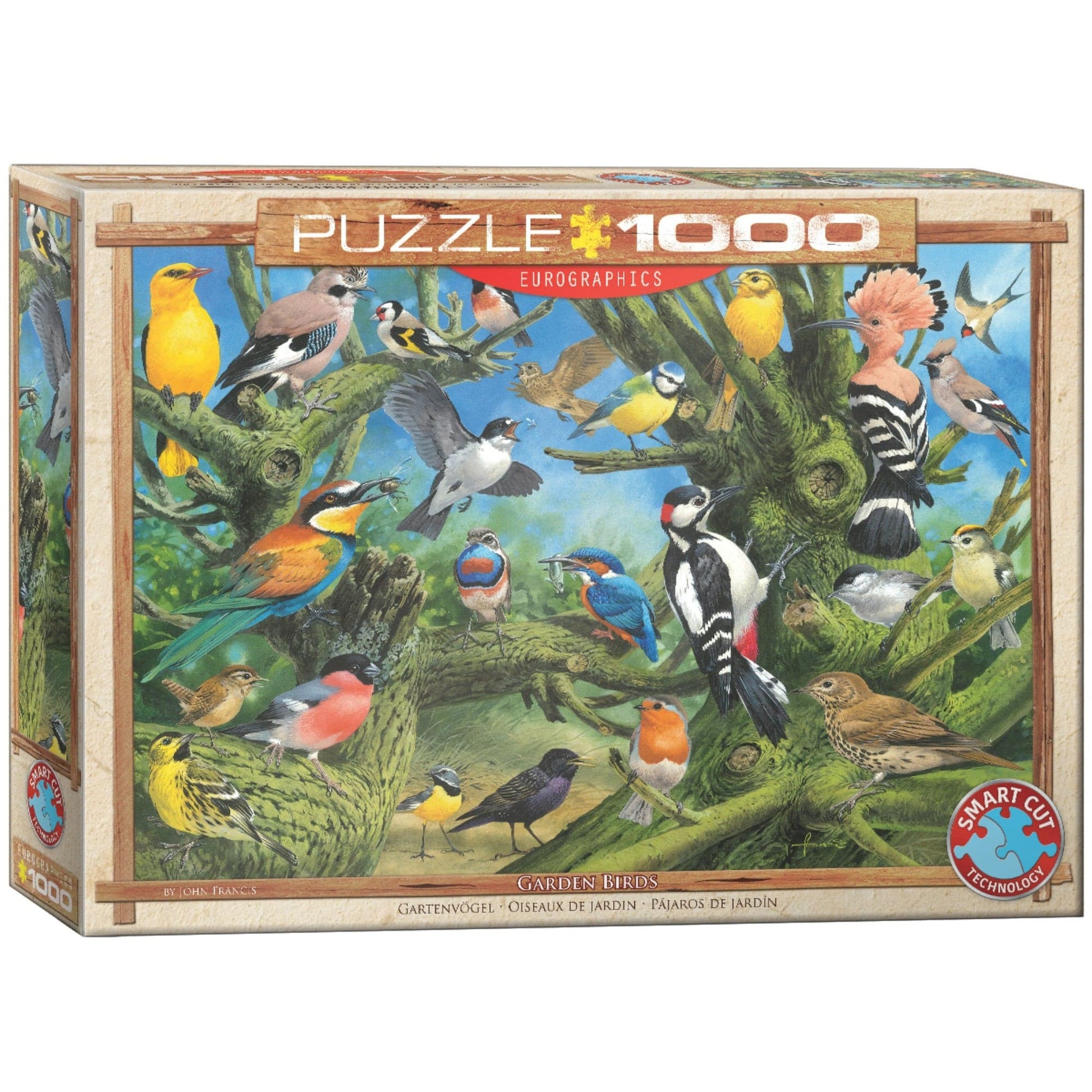 Toys Puzzle da 1000 Pezzi - Joahn Francis: Garden Birds by Joahn Francis