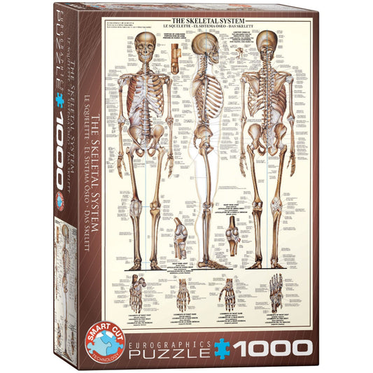 Toys Puzzle da 1000 Pezzi - The Skeletal System