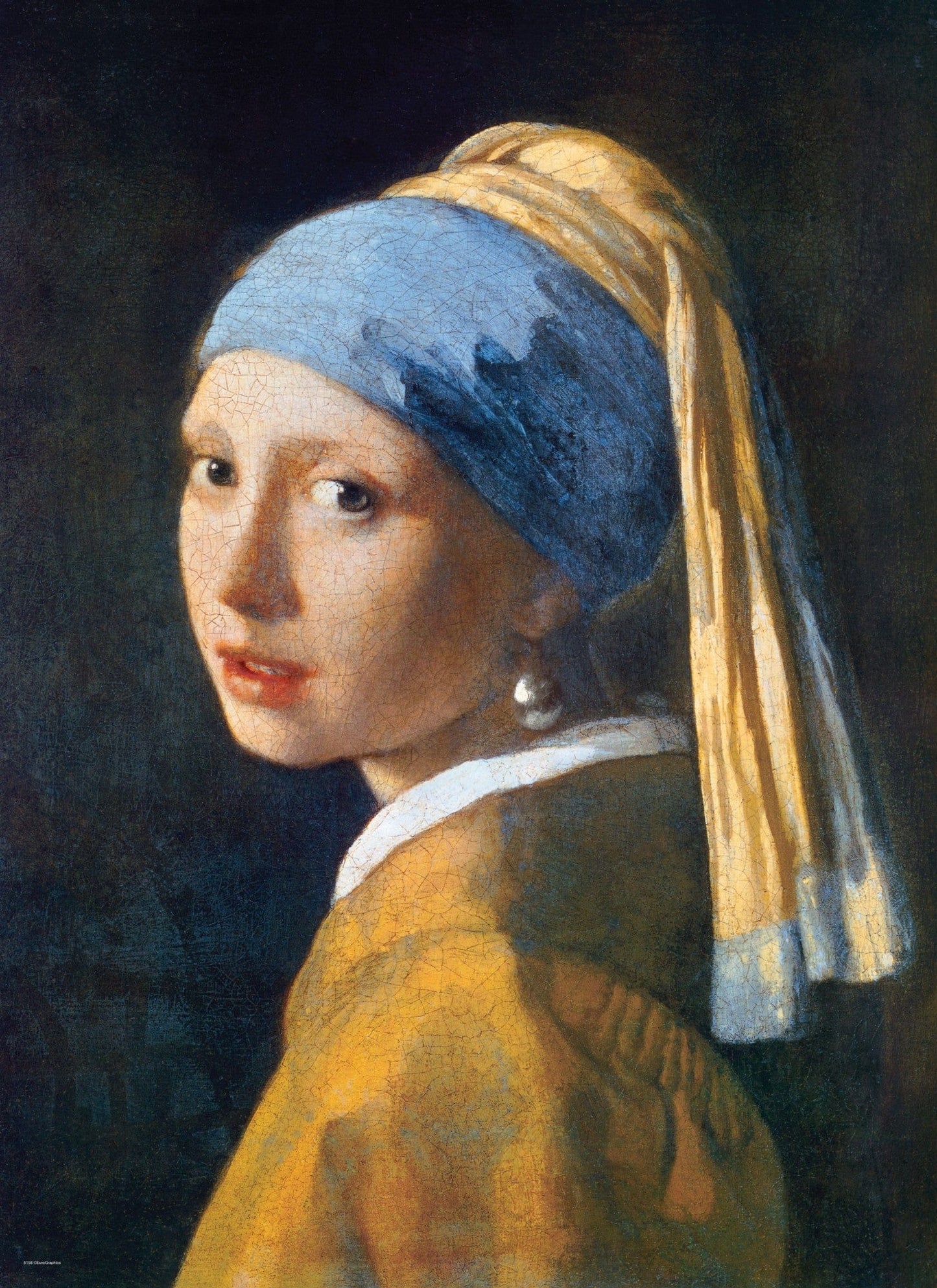 Toys Puzzle da 1000 Pezzi - Vermeer, Jan: Girl with the Pearl Earring