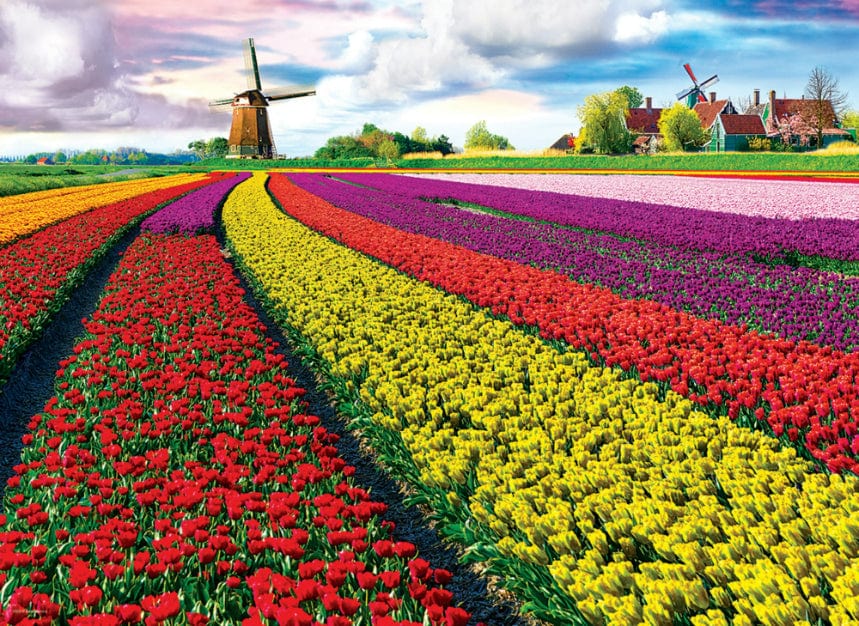 Toys Puzzle da 1000 Pezzi - Tulip Fields Netherlands