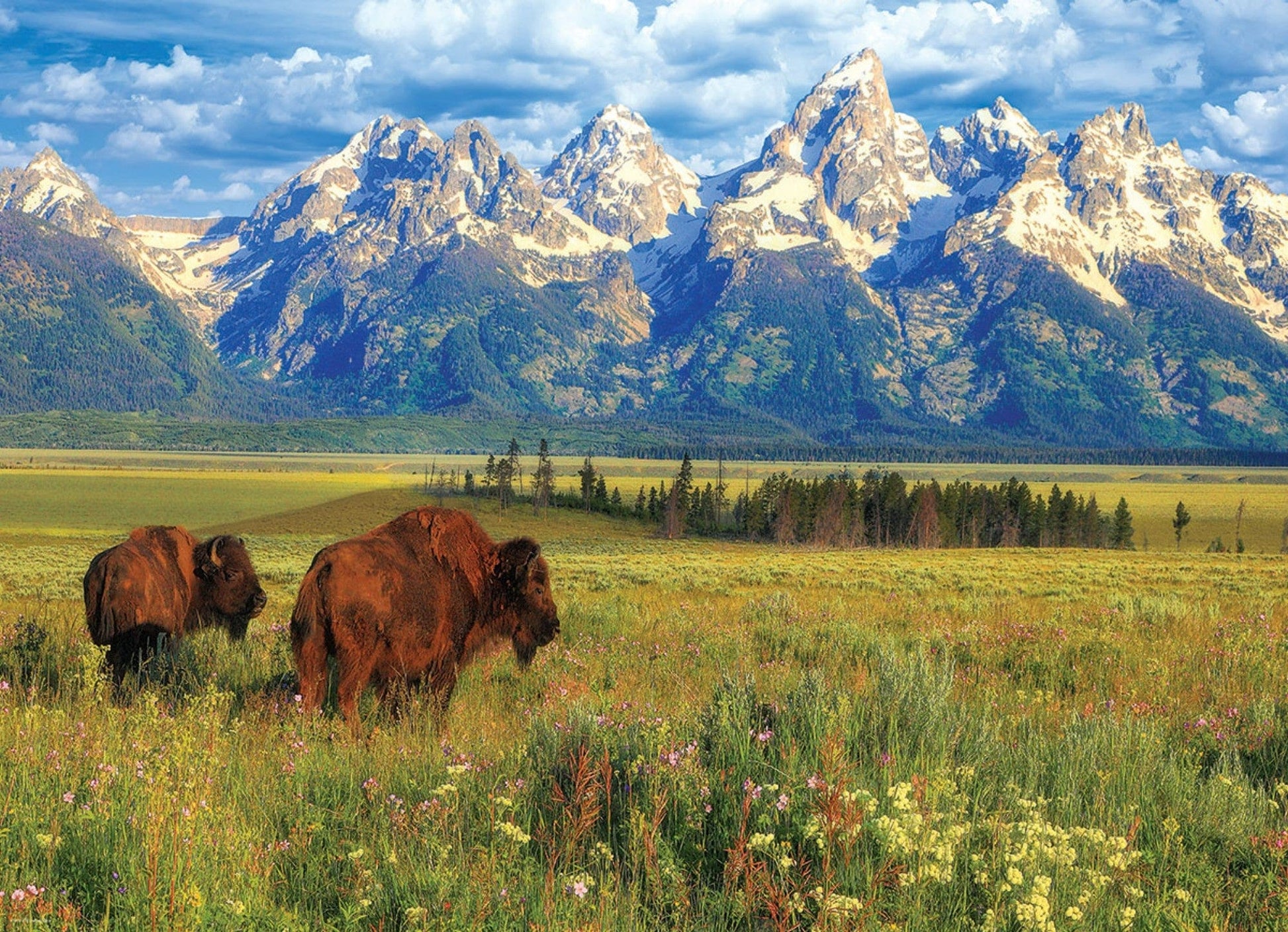 Toys 1000 Piece Puzzle - Grand Teton National Park