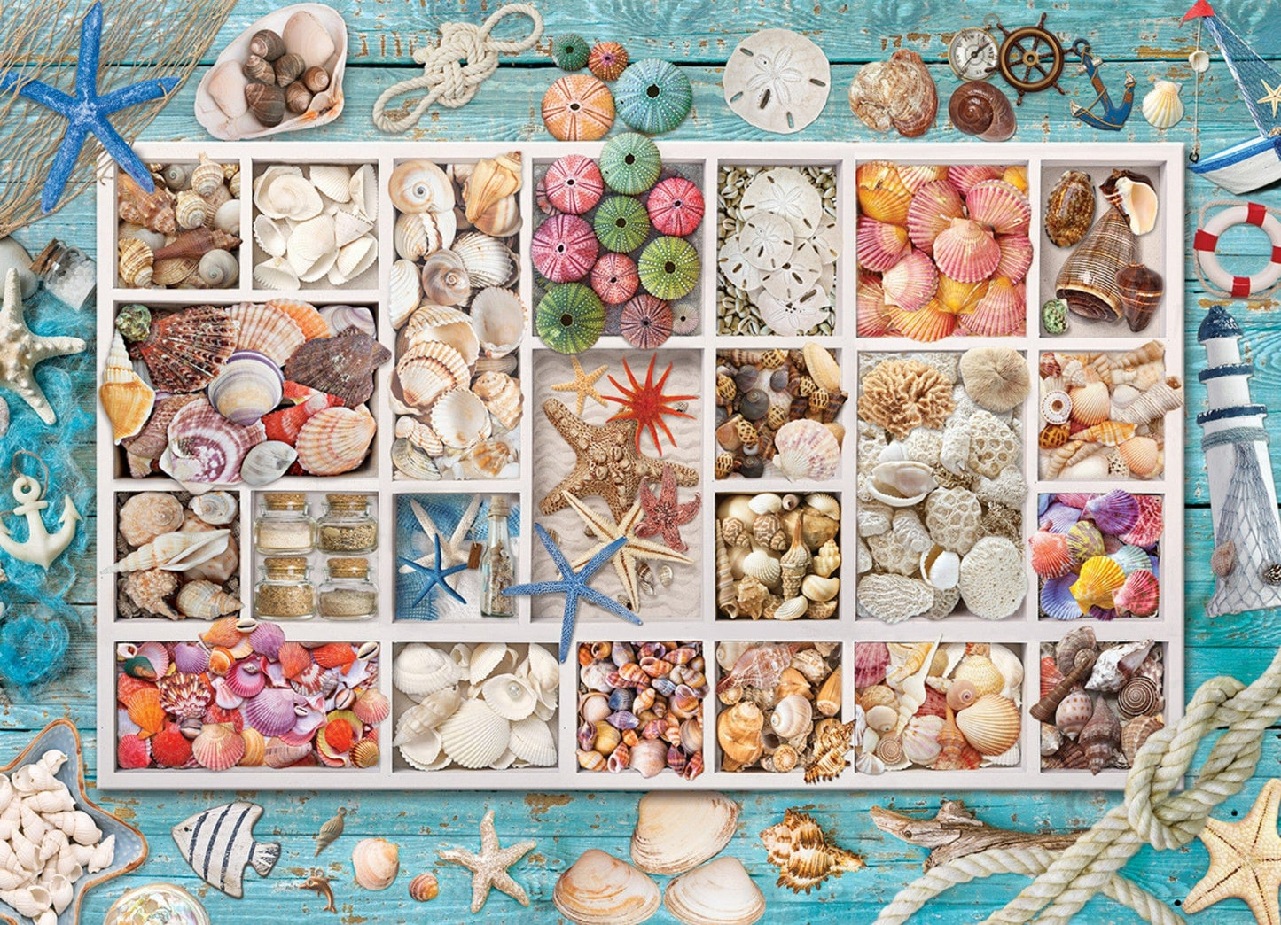 Toys Puzzle da 1000 Pezzi - Seashell Collection