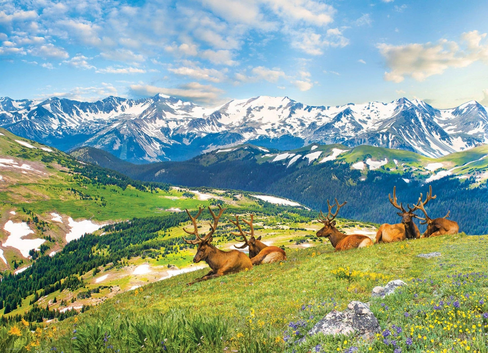 Toys 1000 Piece Puzzle - Mountain Elks