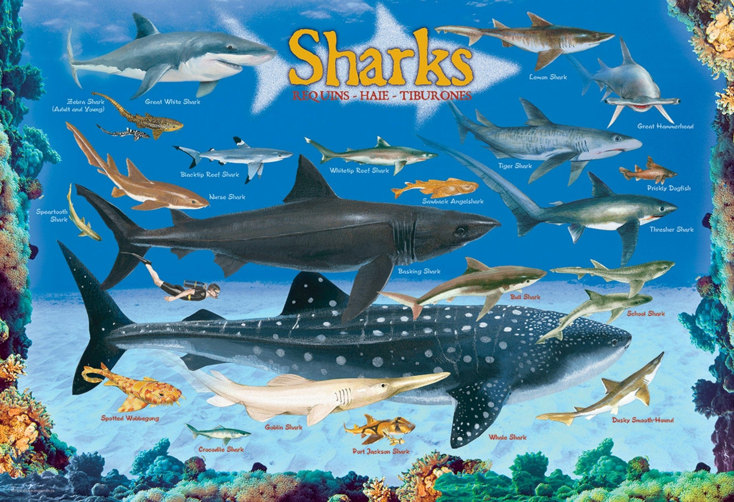 Toys 100 Piece Puzzle - Sharks 100-Piece Puzzle