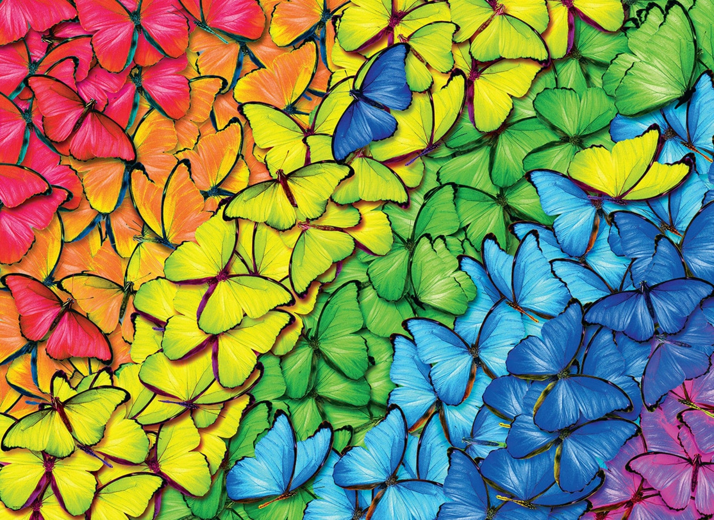 Toys Puzzle da 1000 Pezzi - Tin Box: Butterfly Rainbow Tin