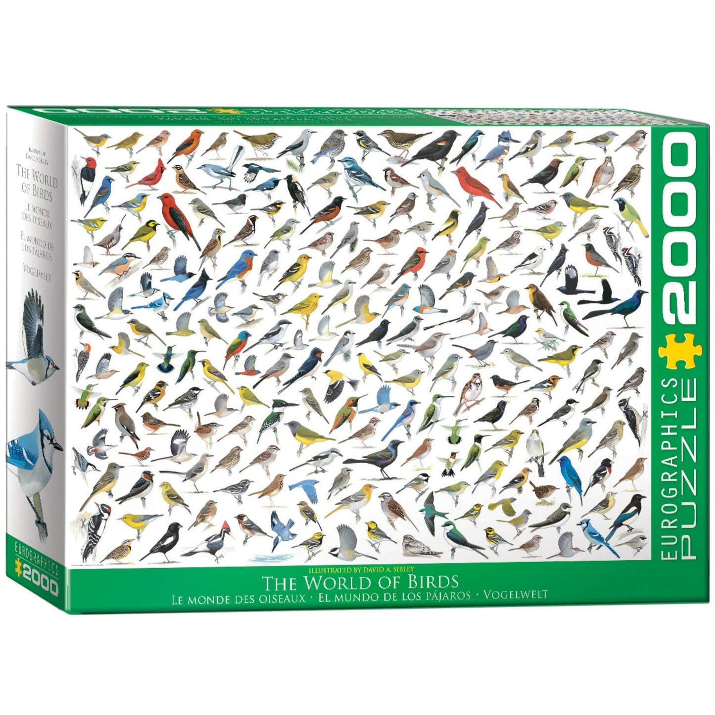 Toys Puzzle da 2000 Pezzi - The World of Birds