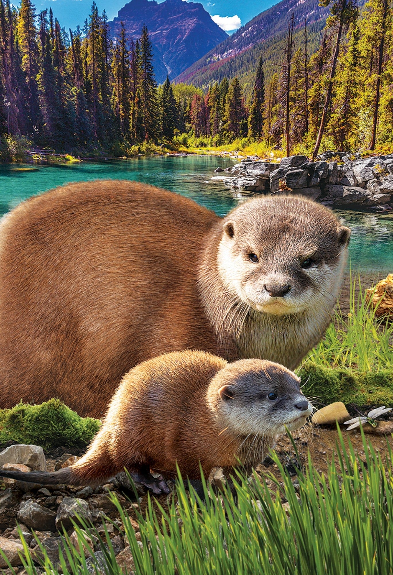 Toys 250 Piece Puzzle - Otters