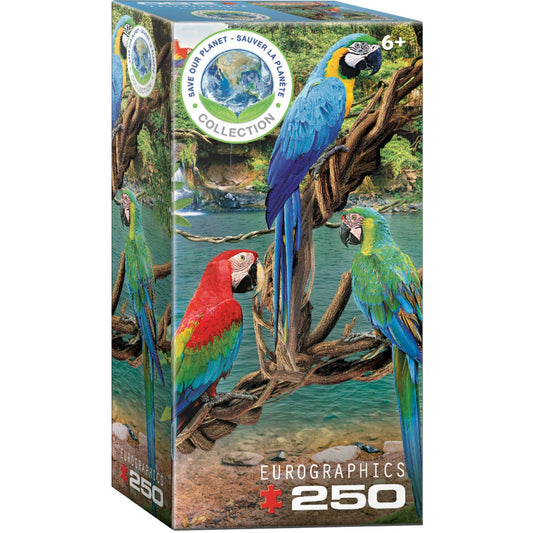 Toys 250 Piece Puzzle - Macaws