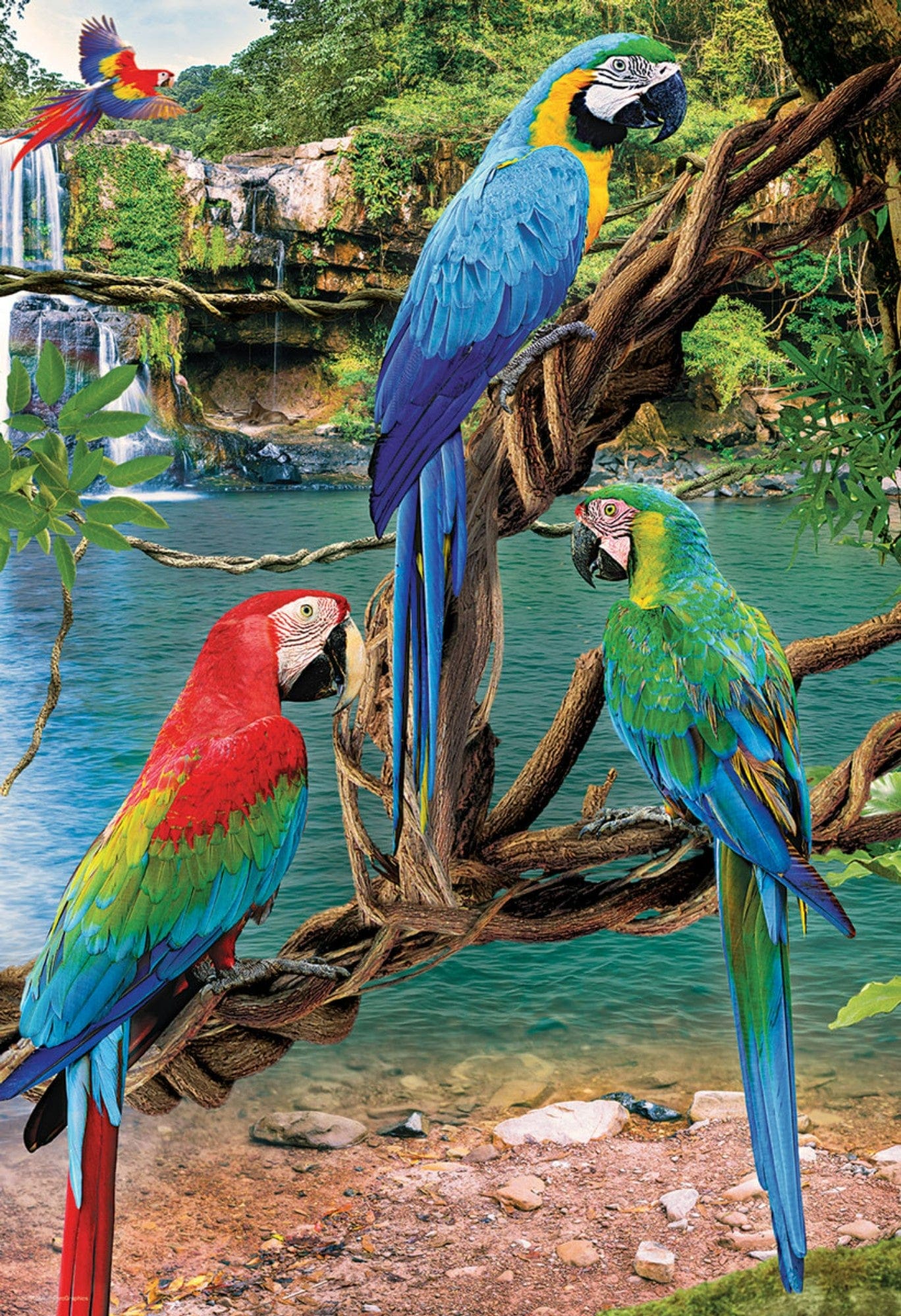 Toys 250 Piece Puzzle - Macaws