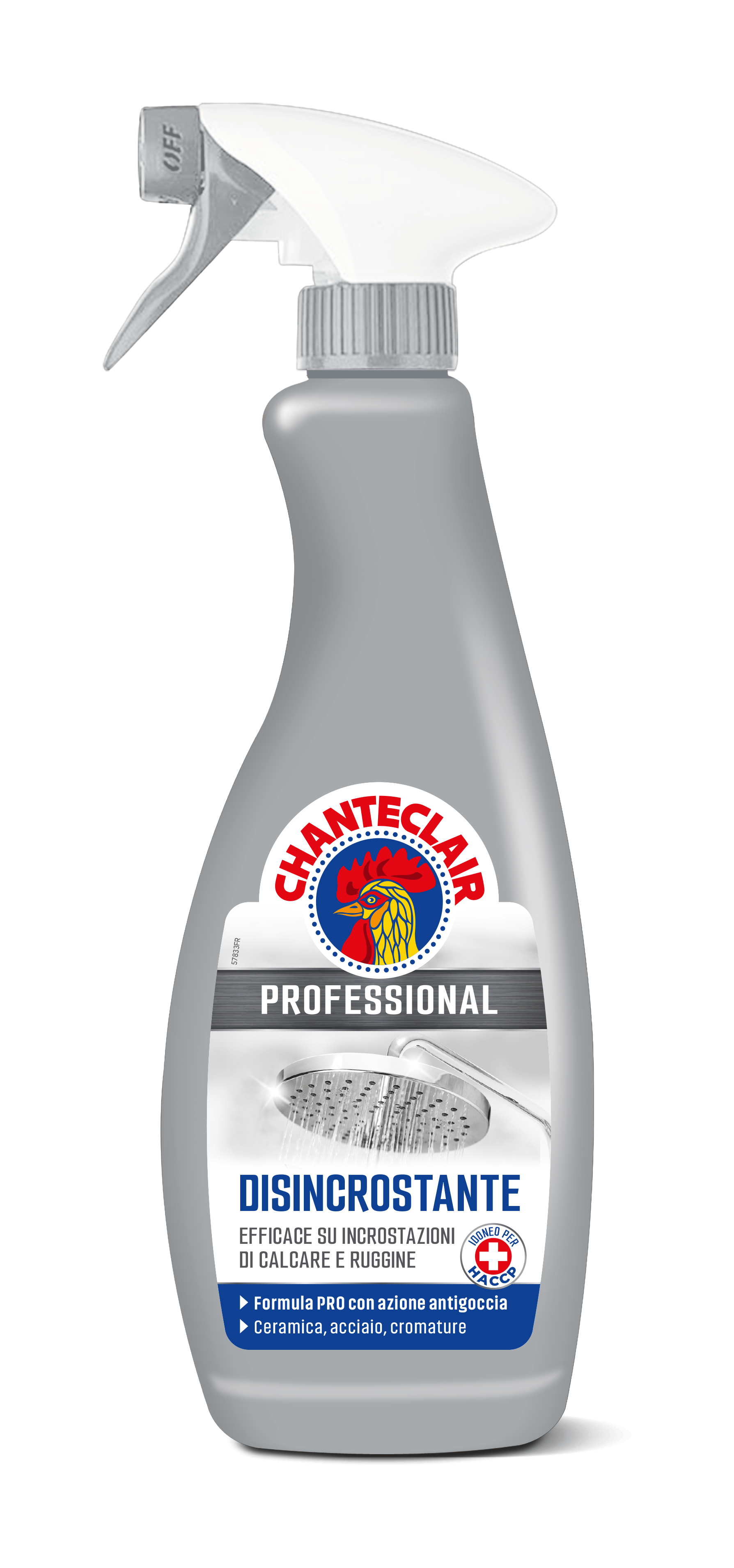 PROFESSIONAL CLEANER STRONG DESCALER 700 ML CHANTECLAIR