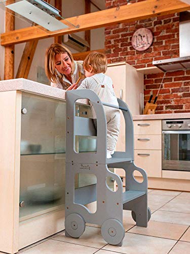 Car Step Stool