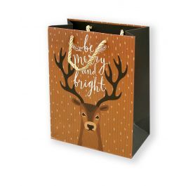 CHRISTMAS BAG 26X32X10/18x22.5x7