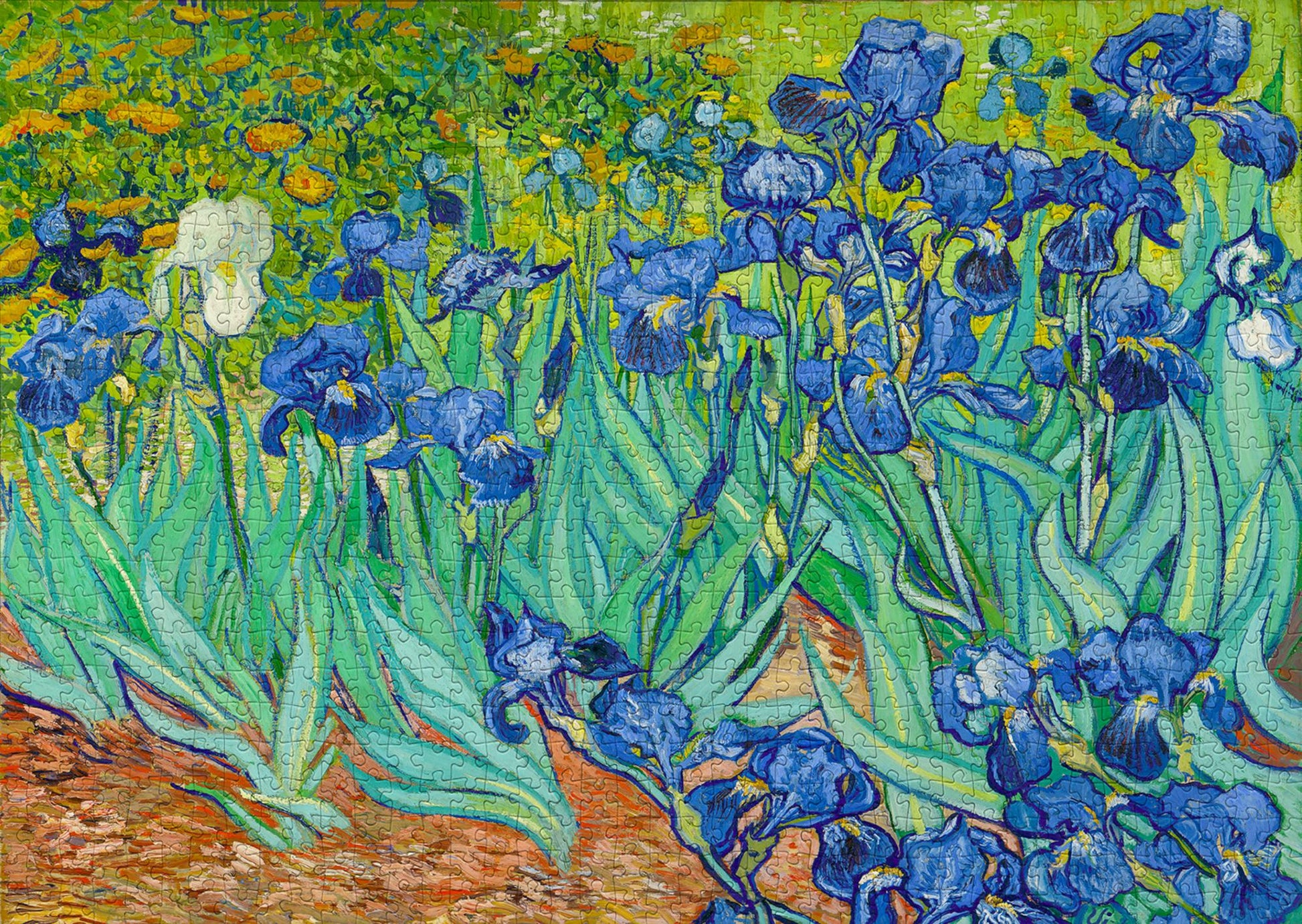 1000 piece puzzle - Vincent Van Gogh: Irises