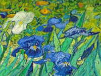 1000 piece puzzle - Vincent Van Gogh: Irises