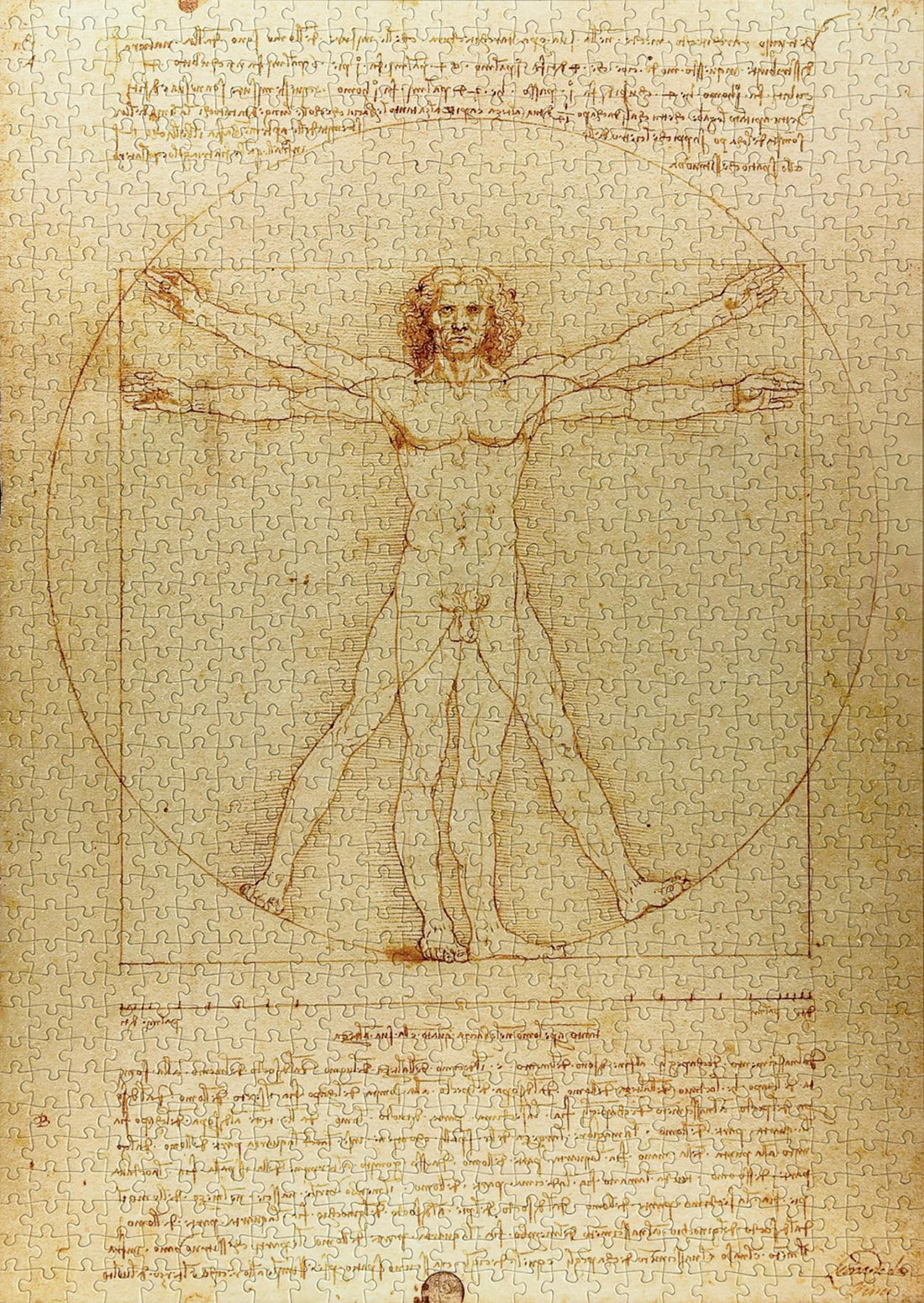 Puzzle 1000 pezzi - The Vitruvian Man