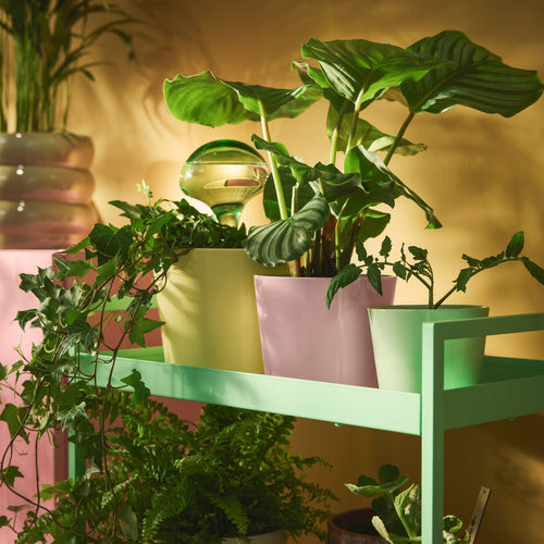 Indoor plant pots