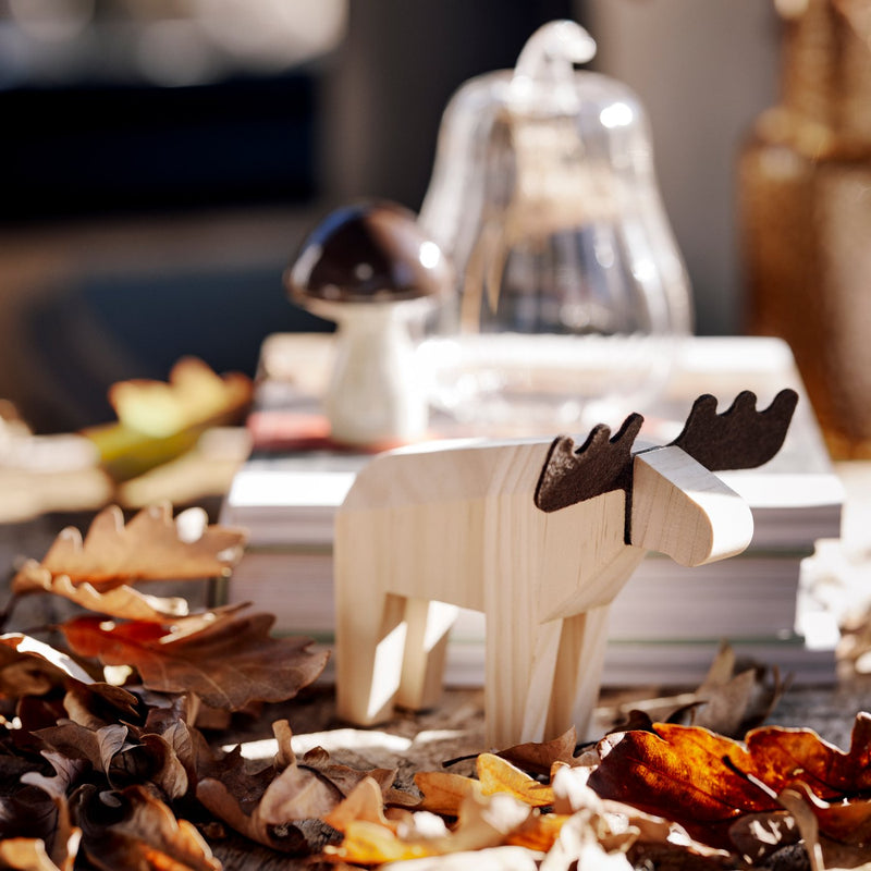 Bring an autumn feel into your home