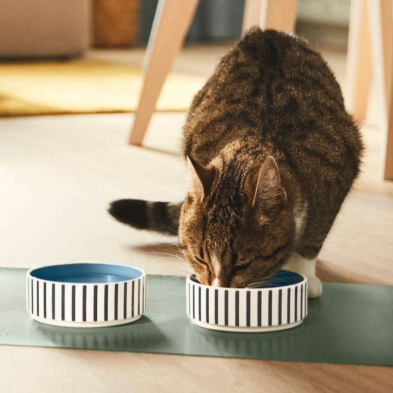 Gifts for pets