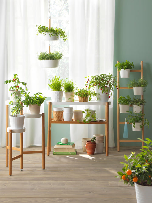 Plant stands & movers