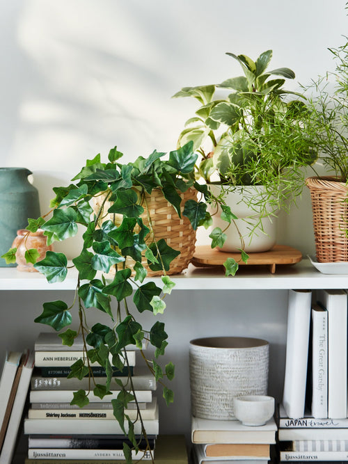 Artificial plants & flowers