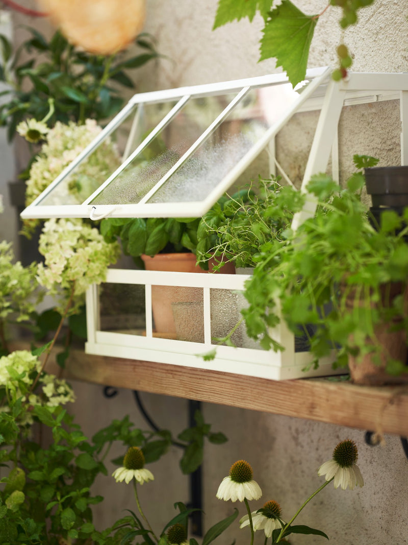 Brighten up life at home with green gifts for everyone