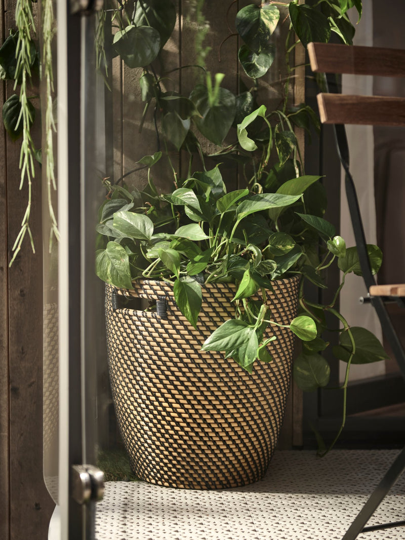 Brighten up life at home with green gifts for everyone