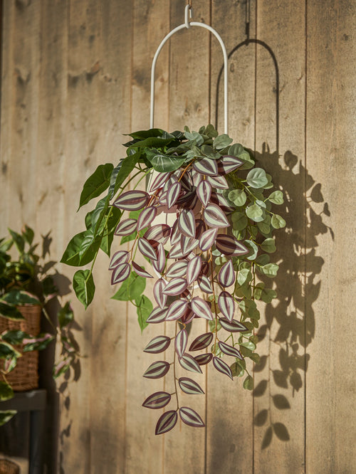 Hanging planters