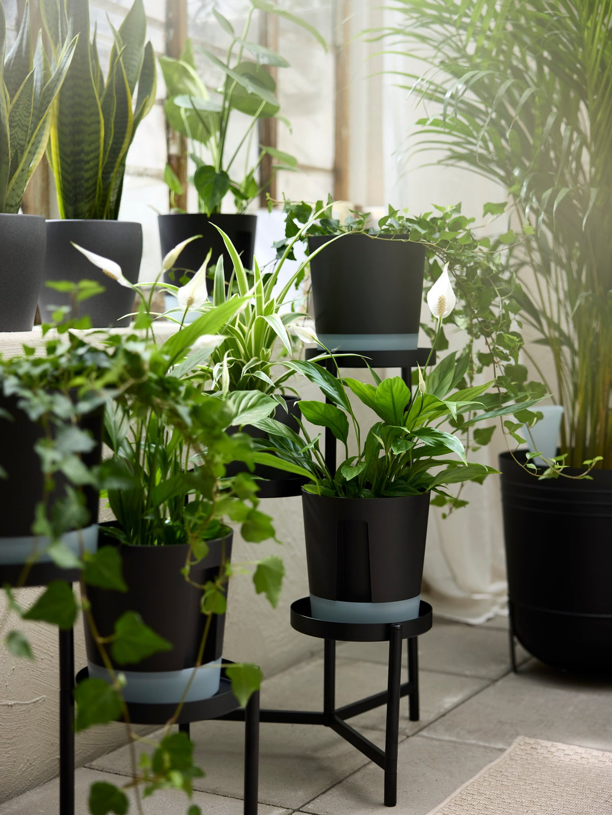Explore a whole forest of green gifts for plant lovers