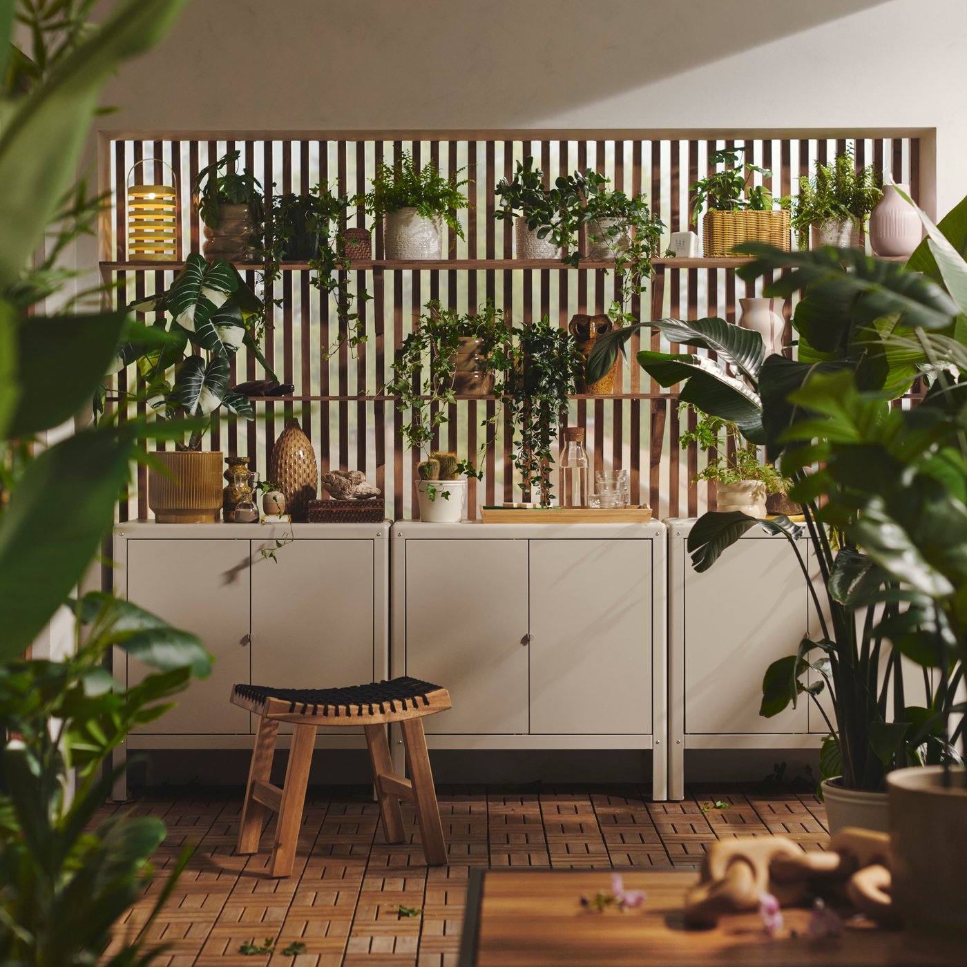 Explore a whole forest of green gifts for plant lovers
