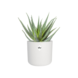 B.FOR SOFT COVER DIAM 14 CM WHITE