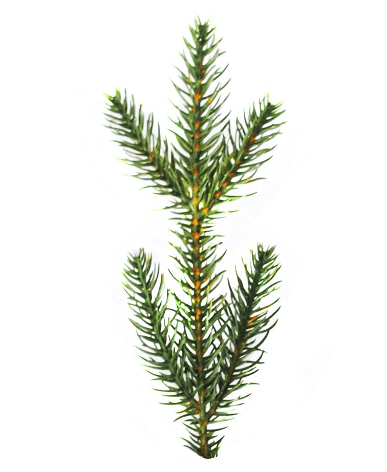 AUGUSTA GREEN ARTIFICIAL CHRISTMAS TREE H180CM