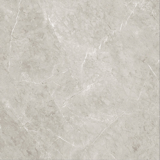 Cartier 60x60 cm grey porcelain stoneware tile, 1.44 m²