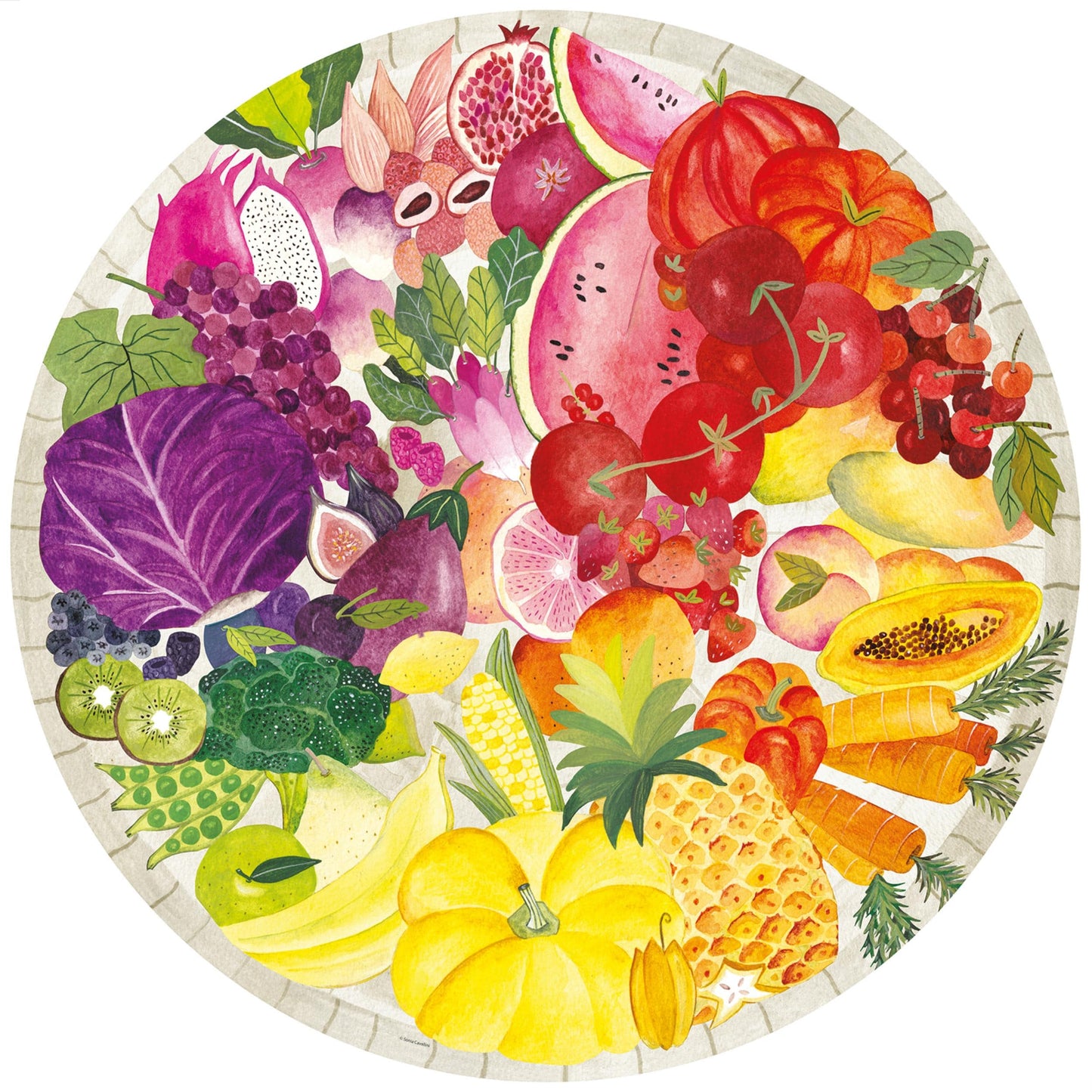 Toys 500 Piece Circle of Colors Puzzle - Fruits and Vegetables