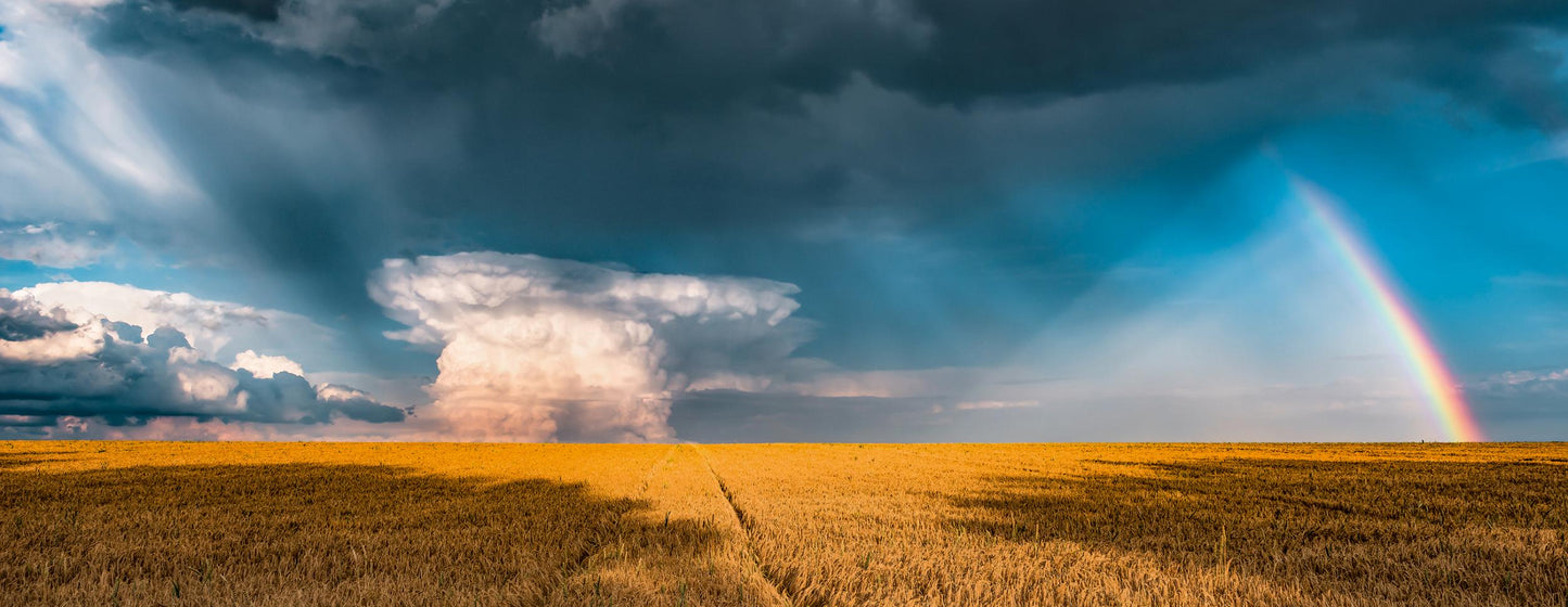 Toys Puzzle 1000 pcs - Panorama - Fields after the storm