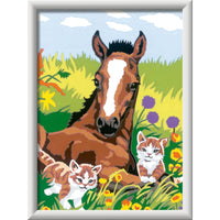 CreArt Serie D Classic - Foal with kittens