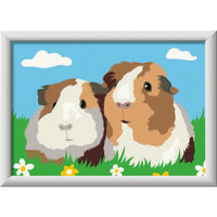 CreArt Serie E classic - Guinea pigs