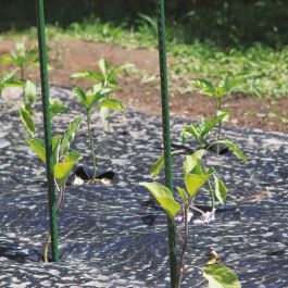 GREEN PLASTICIZED STEEL BRACE FOR