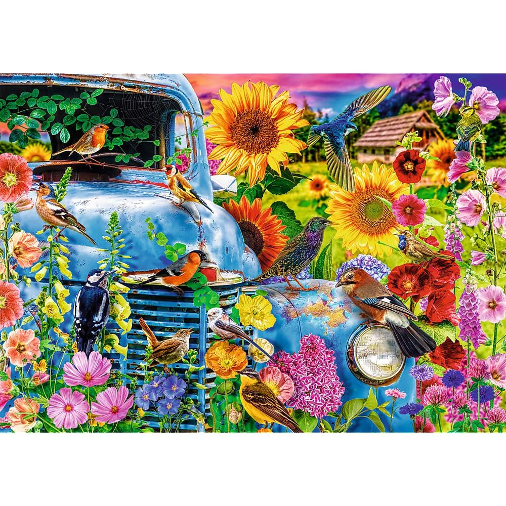 Toys Puzzle da 1000 Pezzi Premium Plus - Tea Time: Country Life: Songbirds