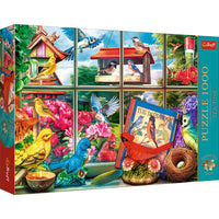 Puzzle da 1000 Pezzi Premium Plus - Tea Time: World of Birds